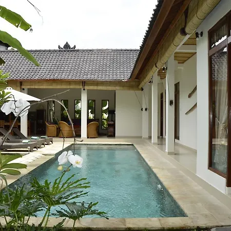 Villa Bindi Ubud  Bagian luar foto